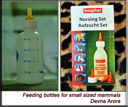 Devna Arora - Milk bottle for baby animals